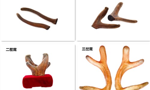女性身上腥臭味会传染人吗-女性身上腥臭网 - 为你提供身上腥臭味怎么回事女、女性身上腥臭味要警惕